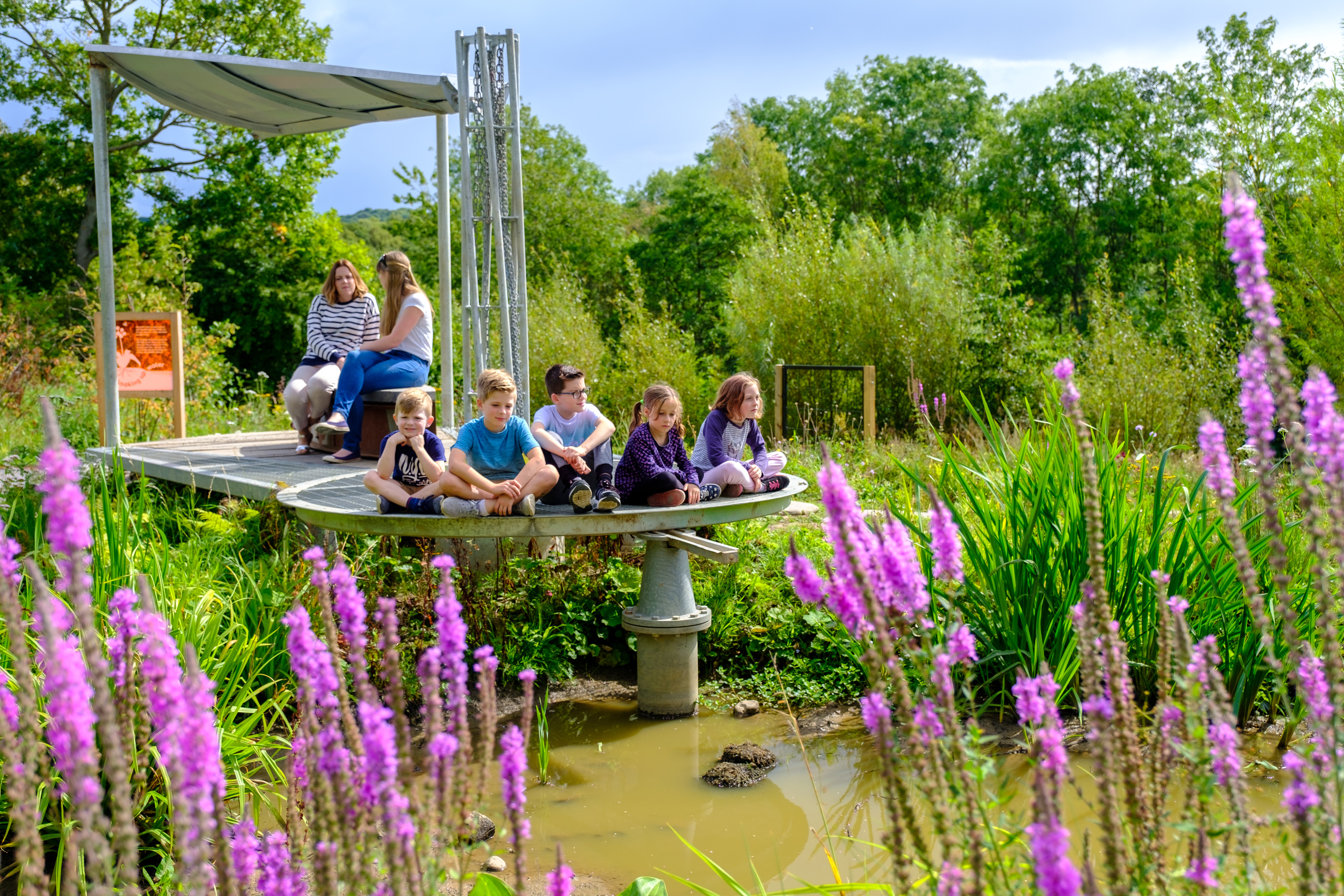 Working Wetland Garden with children and adults WWT