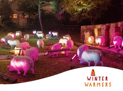 Fake sheep on a patch of grass at night time lit up