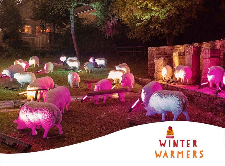 Fake sheep on a patch of grass at night time lit up