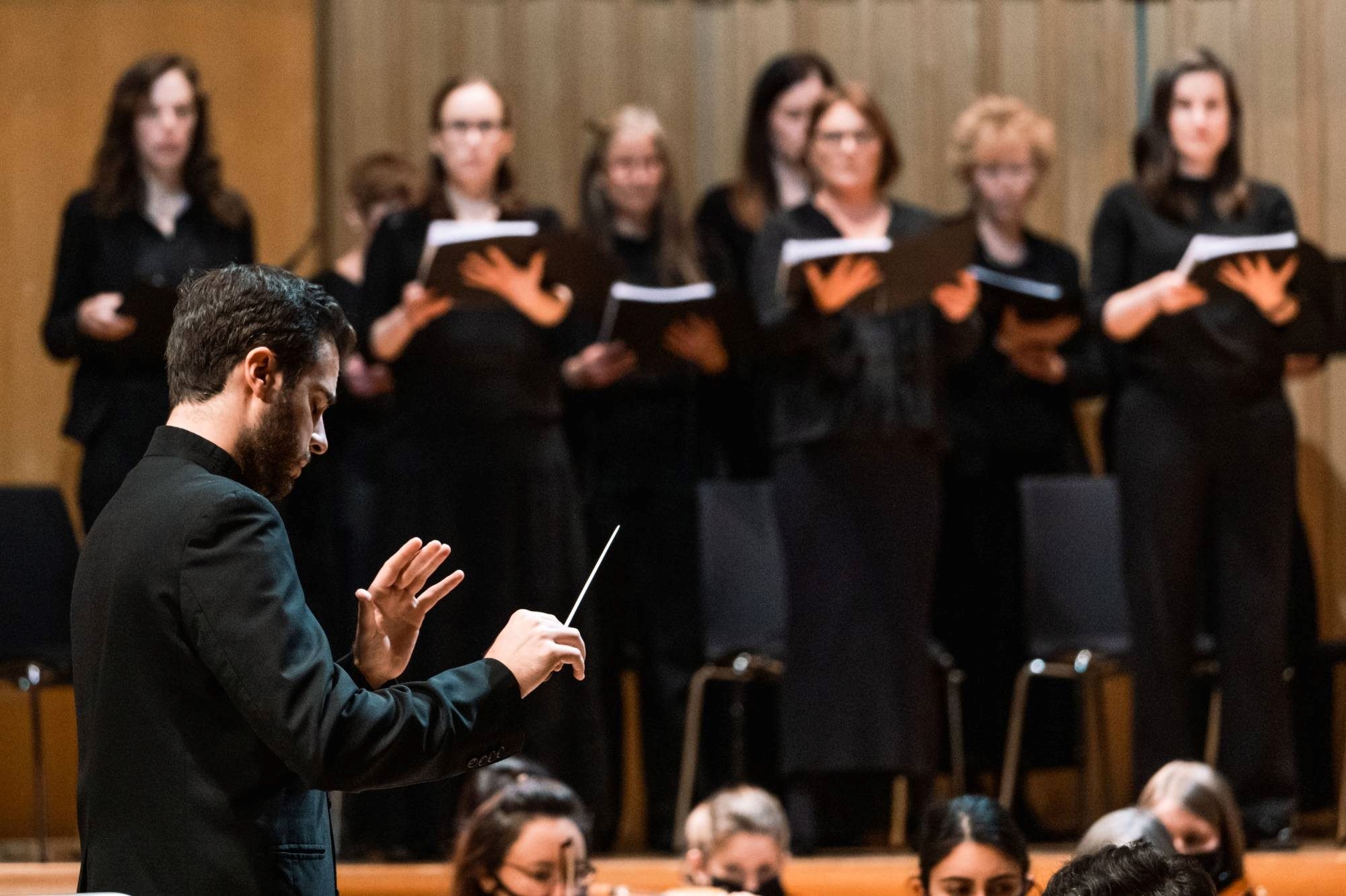 Image of an orchestra conductor conducting musicians