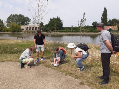 Group of four people gathered in a park surrounding a member who is caring for a pollinator on the grass