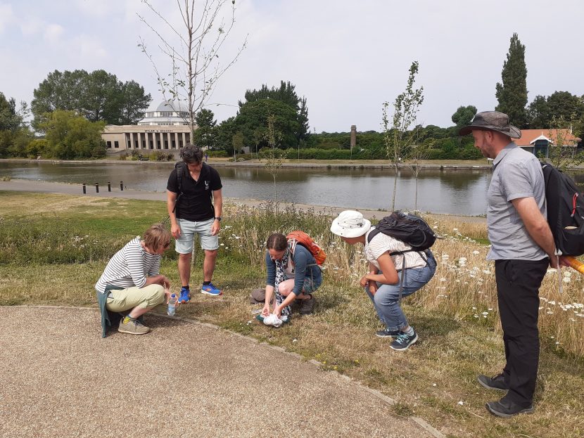 Group of four people gathered in a park surrounding a member who is caring for a pollinator on the grass