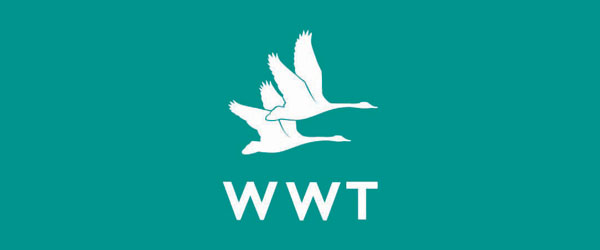 WWT