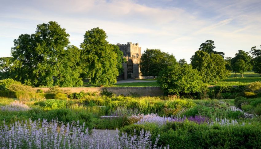 Lush green gardens with a castle in the background