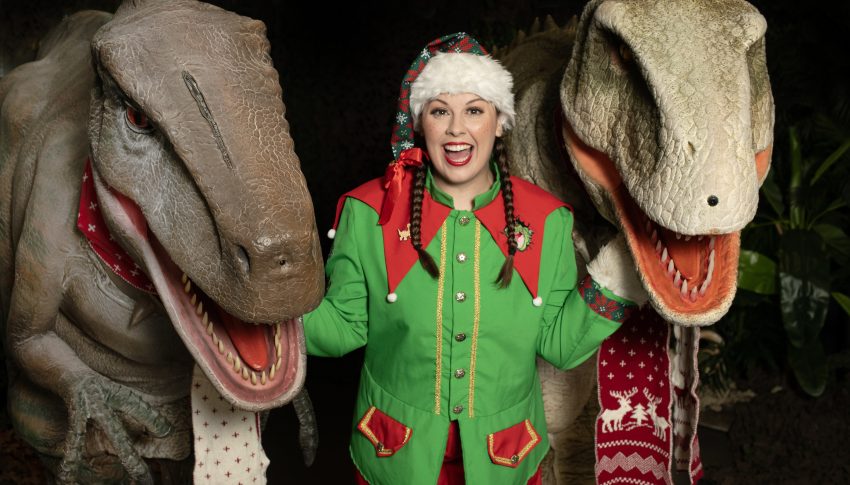 Person dressed as elf stood next to two dinosaur replicas.