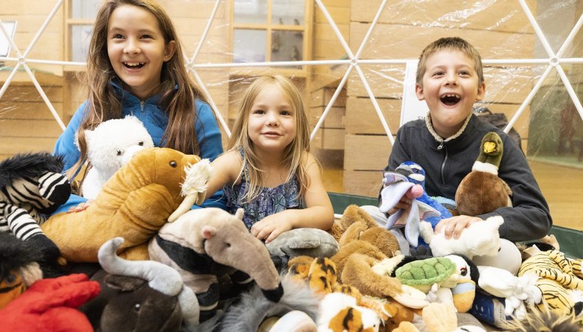 Three children sat happily with lots of stuffed animal toys smiling to camera.