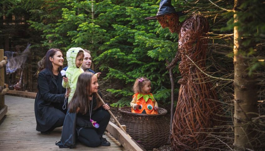 Group of children and parents walking through Halloween-decorated nature.