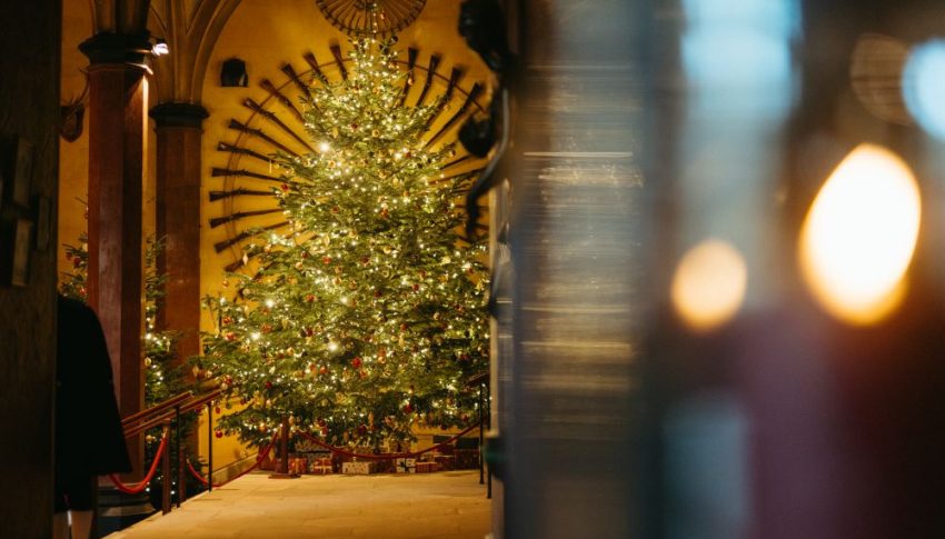 A large Christmas tree with gifts underneath at the end of a corridor in Raby Castle.
