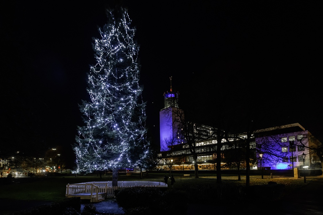 Large Christmas tree outside of Newcastle Civic Centre lit up at nighttime.