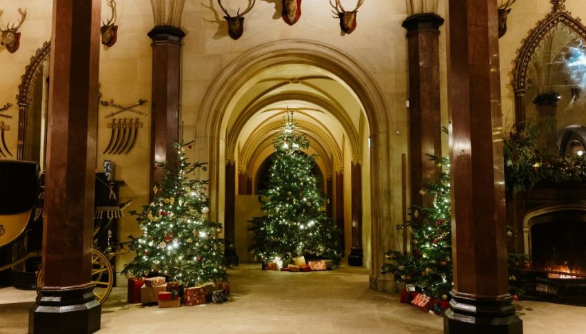 Raby Castle hallway with Christmas trees lining the sides.
