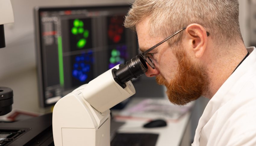 Technician examining cells through a microscope