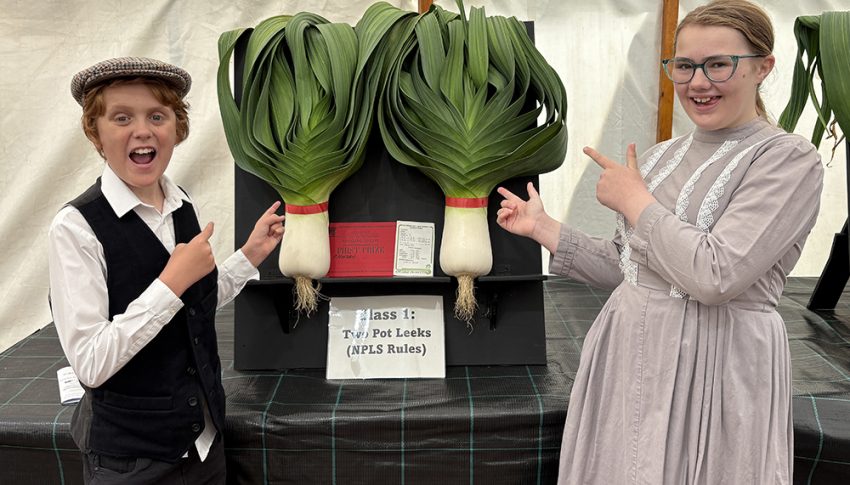 Beamish Musuem Horticultural Show