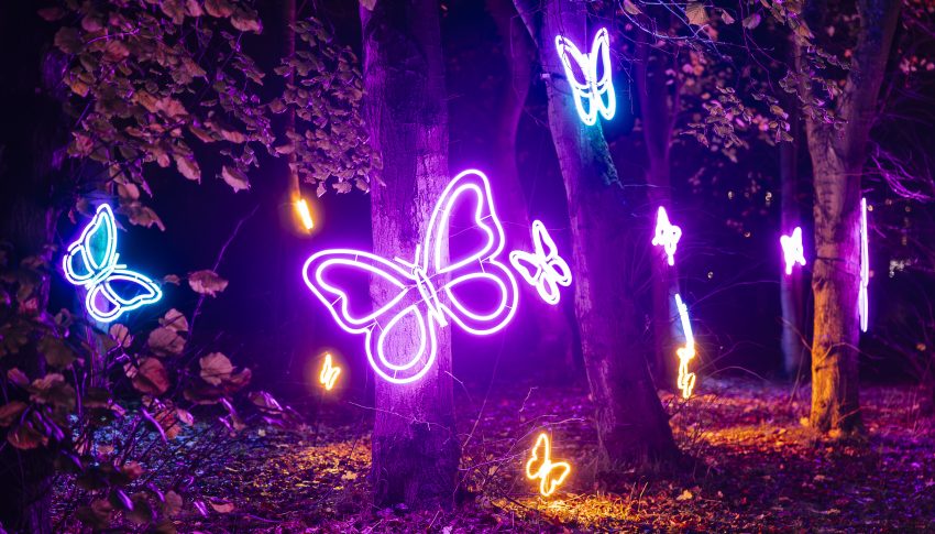 Lit up butterflies in a park for Northern Lights.